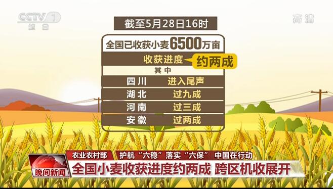 齿轮减速机