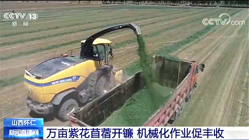 齿轮减速机