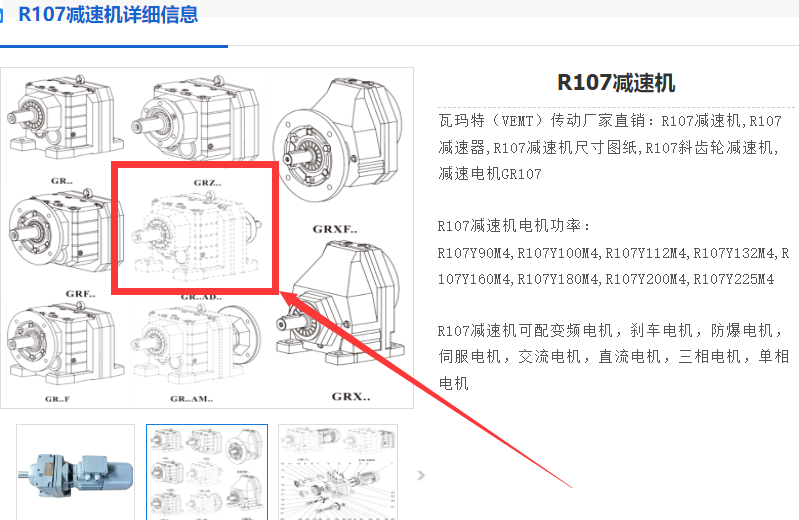 R107-24.7-M1-SD5减速机, 齿轮减速电机.png