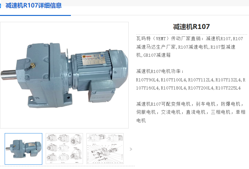 R107DRN100L4BE5HRV减速电机.png