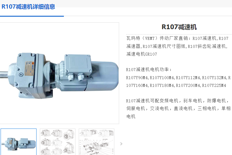 R107DRN100L4/BE5/HR/V减速电机.png