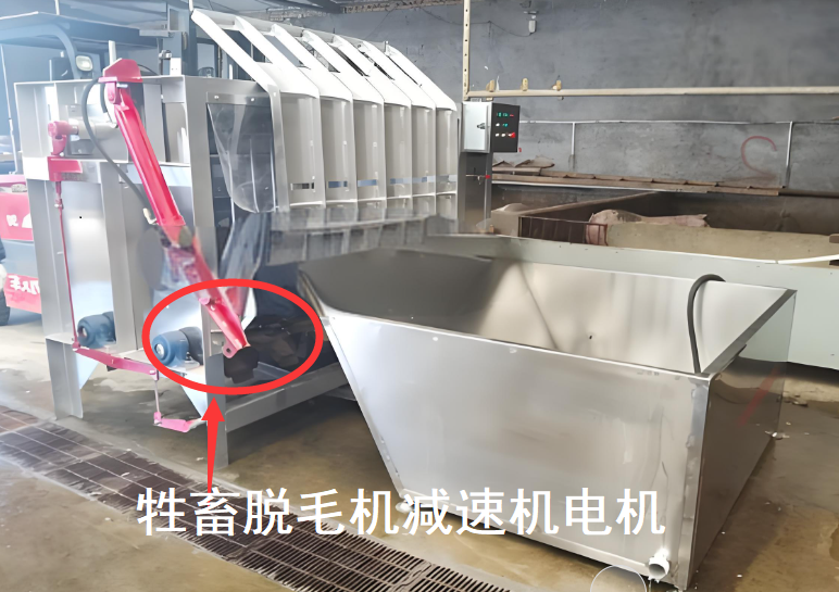 牲畜去毛机.png